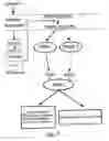Fig. 09 - Polynucleotides encoding a human 3-phosphoinositide- dependent protein kinase