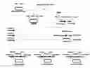 Fig. 01 - DNA encoding xylitol dehydrogenase