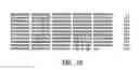 Fig. 08 - antigens
