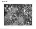 Fig. 03 - Microcarriers for Stem Cell Culture