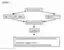 Fig. 07 - Microcarriers for Stem Cell Culture