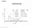 Fig. 10 - Microcarriers for Stem Cell Culture