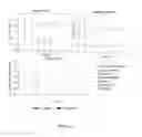 Fig. 103 - Microcarriers for Stem Cell Culture