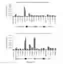 Fig. 104 - Microcarriers for Stem Cell Culture
