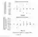 Fig. 110 - Microcarriers for Stem Cell Culture