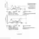 Fig. 112 - Microcarriers for Stem Cell Culture