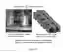 Fig. 119 - Microcarriers for Stem Cell Culture
