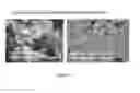 Fig. 120 - Microcarriers for Stem Cell Culture