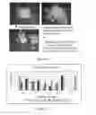 Fig. 129 - Microcarriers for Stem Cell Culture