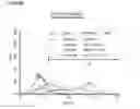 Fig. 13 - Microcarriers for Stem Cell Culture