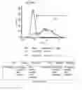 Fig. 143 - Microcarriers for Stem Cell Culture