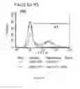 Fig. 144 - Microcarriers for Stem Cell Culture