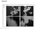Fig. 15 - Microcarriers for Stem Cell Culture