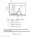 Fig. 153 - Microcarriers for Stem Cell Culture
