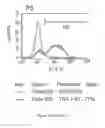 Fig. 155 - Microcarriers for Stem Cell Culture
