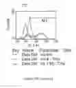 Fig. 162 - Microcarriers for Stem Cell Culture