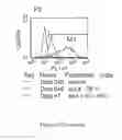 Fig. 168 - Microcarriers for Stem Cell Culture