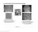 Fig. 176 - Microcarriers for Stem Cell Culture