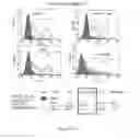 Fig. 185 - Microcarriers for Stem Cell Culture