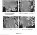 Fig. 195 - Microcarriers for Stem Cell Culture