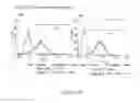Fig. 204 - Microcarriers for Stem Cell Culture