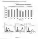 Fig. 219 - Microcarriers for Stem Cell Culture