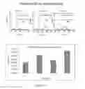 Fig. 233 - Microcarriers for Stem Cell Culture