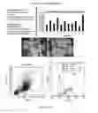 Fig. 234 - Microcarriers for Stem Cell Culture