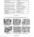 Fig. 235 - Microcarriers for Stem Cell Culture