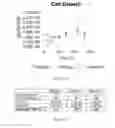 Fig. 243 - Microcarriers for Stem Cell Culture