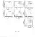 Fig. 246 - Microcarriers for Stem Cell Culture