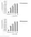 Fig. 250 - Microcarriers for Stem Cell Culture