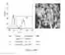 Fig. 252 - Microcarriers for Stem Cell Culture