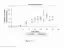 Fig. 253 - Microcarriers for Stem Cell Culture