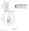 Fig. 255 - Microcarriers for Stem Cell Culture