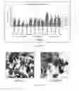 Fig. 263 - Microcarriers for Stem Cell Culture