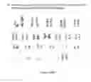 Fig. 276 - Microcarriers for Stem Cell Culture