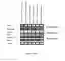Fig. 280 - Microcarriers for Stem Cell Culture