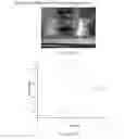 Fig. 285 - Microcarriers for Stem Cell Culture