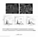 Fig. 287 - Microcarriers for Stem Cell Culture