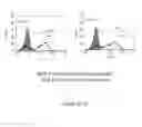 Fig. 288 - Microcarriers for Stem Cell Culture