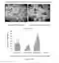 Fig. 289 - Microcarriers for Stem Cell Culture
