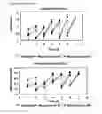 Fig. 36 - Microcarriers for Stem Cell Culture