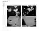 Fig. 41 - Microcarriers for Stem Cell Culture
