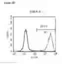 Fig. 61 - Microcarriers for Stem Cell Culture