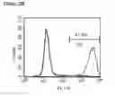 Fig. 64 - Microcarriers for Stem Cell Culture
