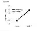 Fig. 65 - Microcarriers for Stem Cell Culture