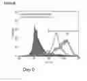 Fig. 69 - Microcarriers for Stem Cell Culture
