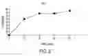 Fig. 09 - Compositions and methods to prevent cancer by stabilizing P53 through non MDM2-mediated pathways