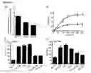 Fig. 33 - Compositions and methods to prevent cancer by stabilizing P53 through non MDM2-mediated pathways